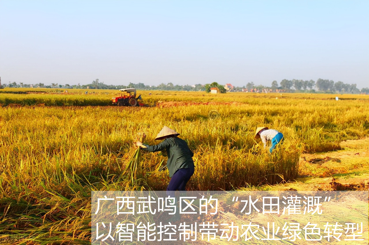 廣西武鳴區(qū)的“水田灌溉”，以智能控制帶動農(nóng)業(yè)綠色轉(zhuǎn)型
